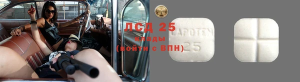 ешки Аркадак