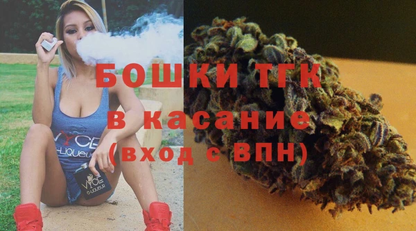 ешки Аркадак