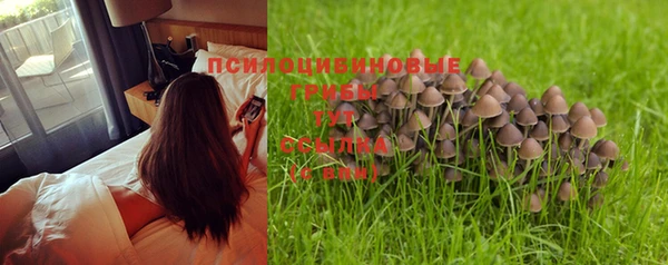 ешки Аркадак