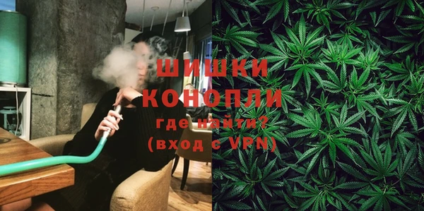 ешки Аркадак
