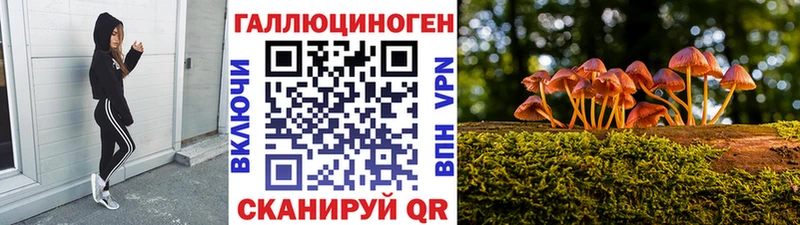Галлюциногенные грибы MAGIC MUSHROOMS Луга